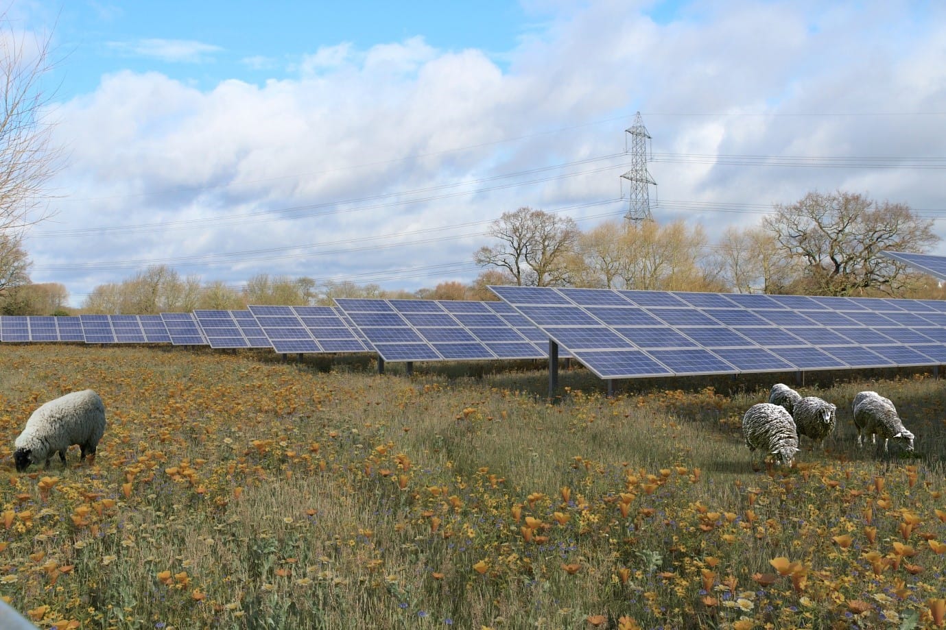 Barrow Farm Solar