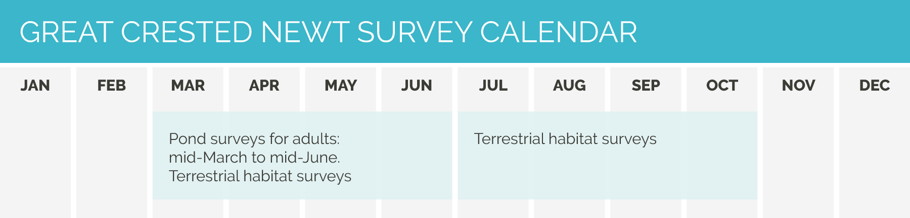 CSA calendar Great Crested Newt survey