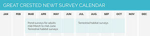 CSA calendar Great Crested Newt survey