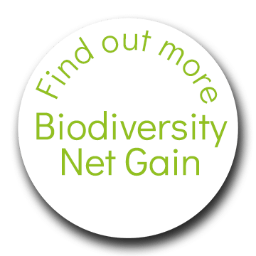 Find out more - Biodiversity Net Gain