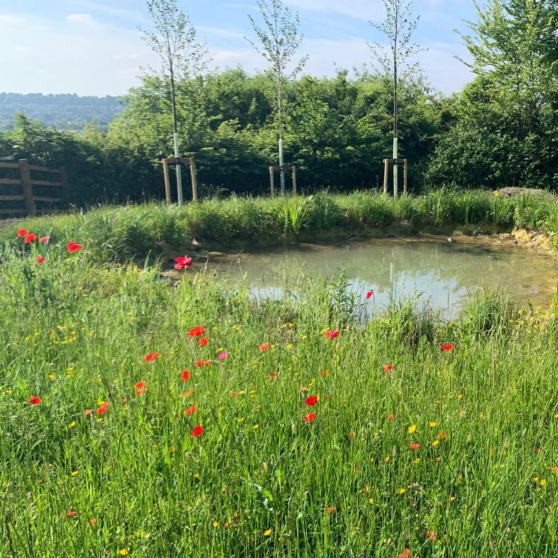 1000 homes at Cribbs Causeway, Bristol CSA environmental