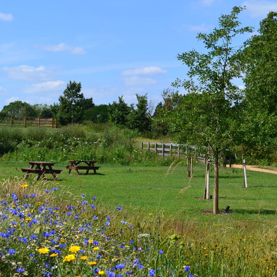 Millbridge Brook Meadows, Gamlingay CSA environmental